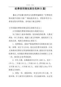 经费使用情况报告范例(5篇)