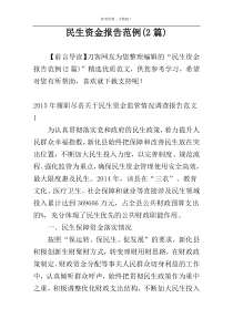 民生资金报告范例(2篇)