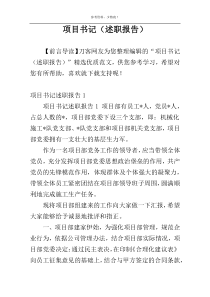项目书记（述职报告）