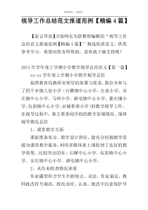 视导工作总结范文报道范例【精编4篇】