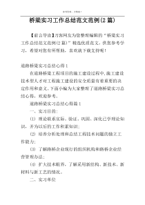 桥梁实习工作总结范文范例(2篇)