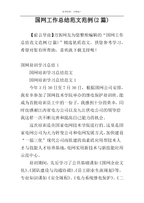 国网工作总结范文范例(2篇)