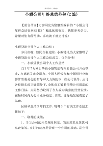 小额公司年终总结范例(2篇)