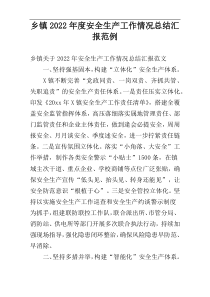 乡镇2022年度安全生产工作情况总结汇报范例
