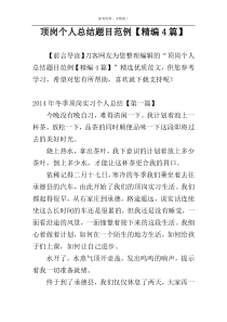 顶岗个人总结题目范例【精编4篇】