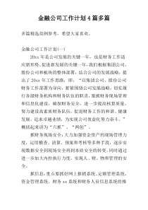金融公司工作计划4篇多篇