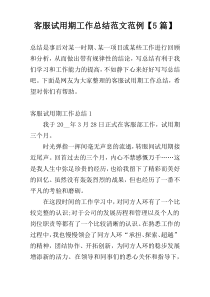 客服试用期工作总结范文范例【5篇】