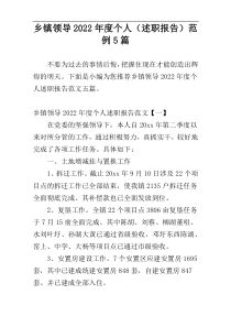 2022年度乡镇领导个人（述职报告）范例5篇