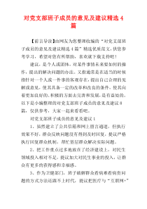 对党支部班子成员的意见及建议精选4篇