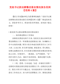 党组书记抓巡察整改落实情况报告范例【范例4篇】