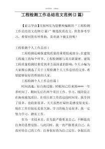 工程检测工作总结范文范例(2篇)