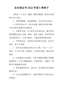 安全保证书2022年度5章例子
