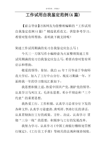 工作试用自我鉴定范例(4篇)