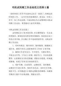司机试用期工作总结范文范例5篇