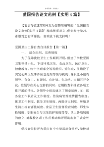 爱国报告论文范例【实用4篇】