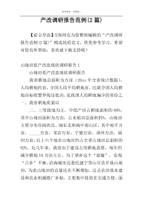产改调研报告范例(2篇)