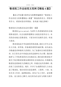 敬老院工作总结范文范例【精选4篇】