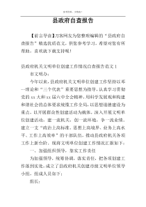 县政府自查报告