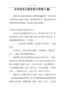 在农村实习报告范文范例(3篇)