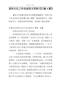宣传文化工作总结范文范例【汇编4篇】