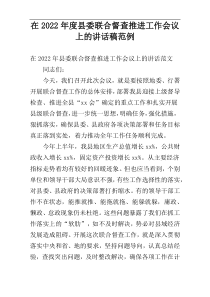 在县委联合督查推进工作会议上的讲话稿2022年度范例