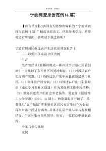 宁波调查报告范例(4篇)