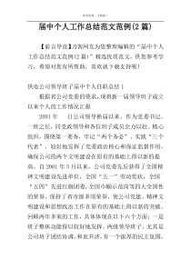 届中个人工作总结范文范例(2篇)