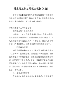 排水处工作总结范文范例(3篇)