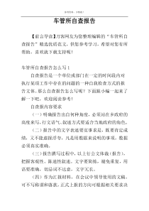 车管所自查报告