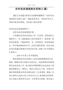 农村危房调查报告范例(2篇)