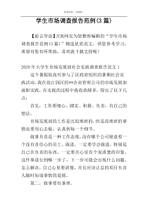 学生市场调查报告范例(3篇)