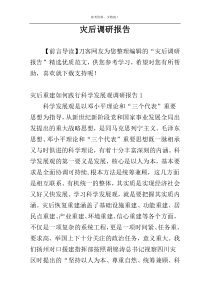灾后调研报告