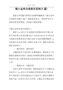 镇小金库自查报告范例(5篇)