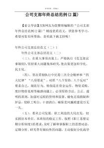 公司支部年终总结范例(2篇)