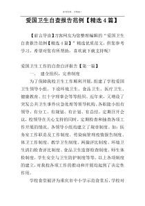 爱国卫生自查报告范例【精选4篇】