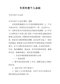 专员年度个人总结
