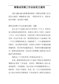 销售试用期工作总结范文通用