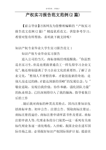 产权实习报告范文范例(2篇)