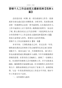 营销个人工作总结范文最新范例【范例4篇】