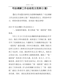 司法调解工作总结范文范例(2篇)