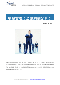绩效管理（全景案例分析）