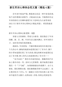 新生军训心得体会范文篇（精选4篇）