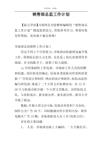 销售部总监工作计划