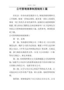 公司管理规章制度细则5篇