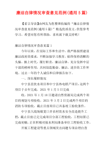 廉洁自律情况审查意见范例(通用5篇)