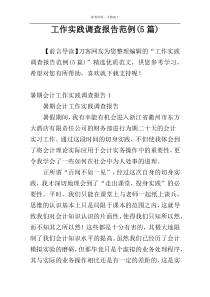 工作实践调查报告范例(5篇)