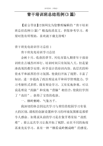 青干培训班总结范例(3篇)