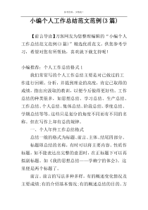 小编个人工作总结范文范例(3篇)