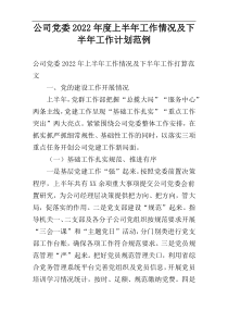 公司党委2022年度上半年工作情况及下半年工作计划范例