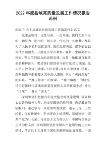 2022年度县域高质量发展工作情况报告范例